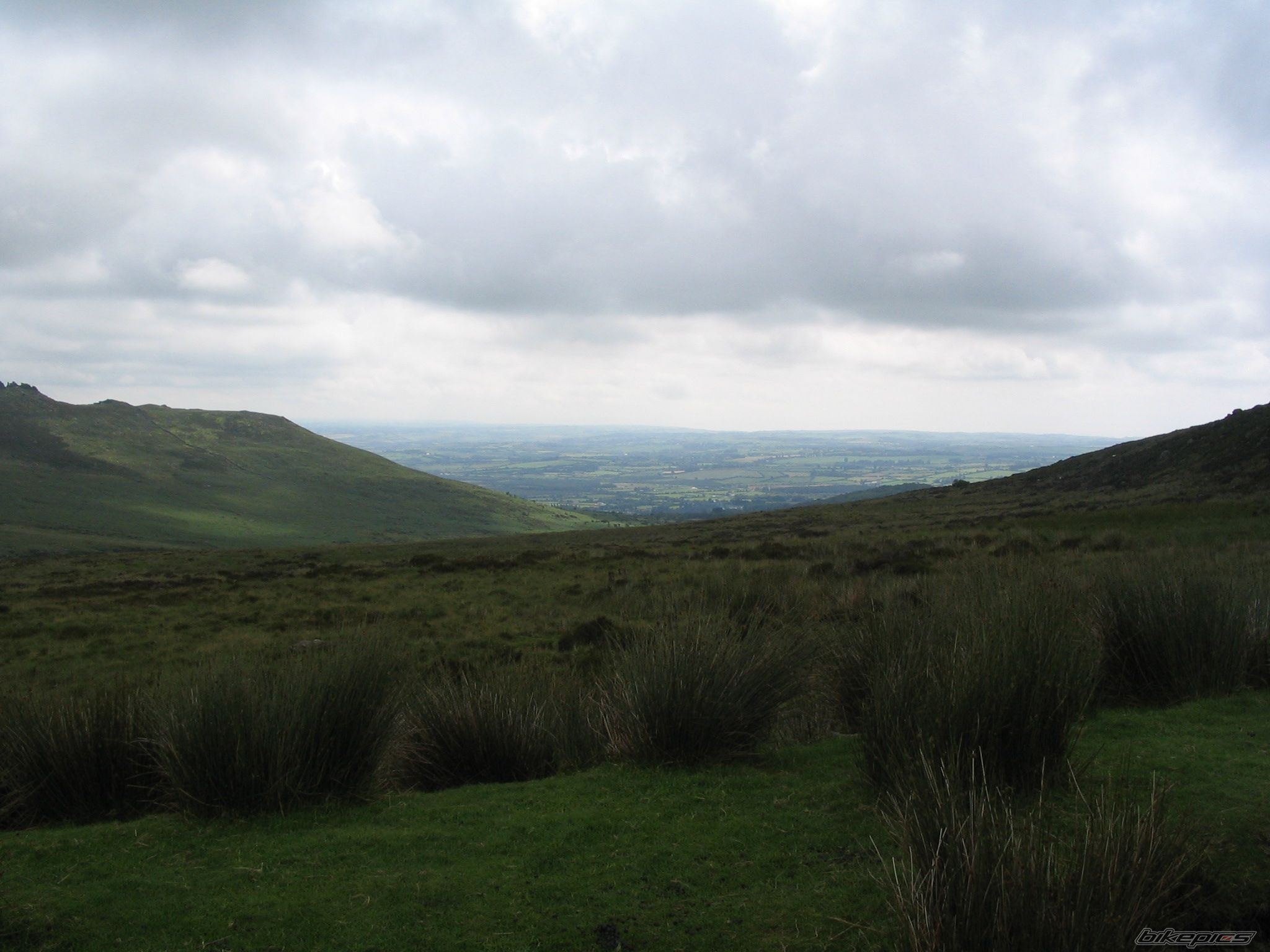 Photo 971777