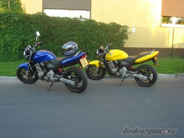 Photo 971845