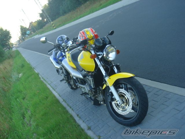 Photo 971847