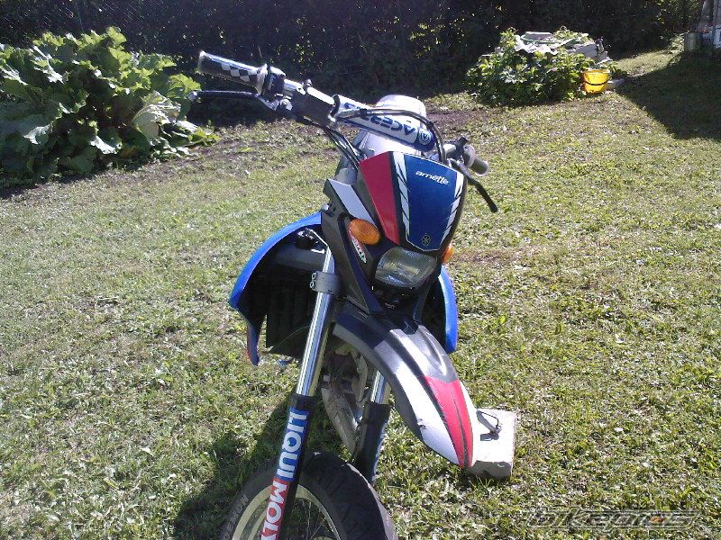 Photo 971850