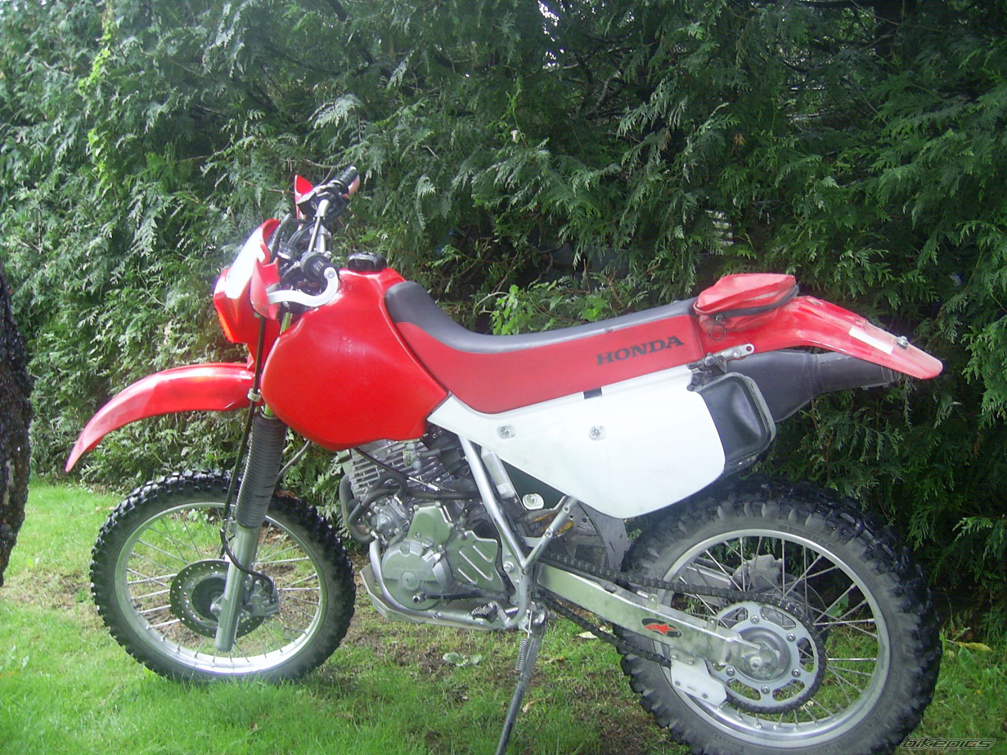 Photo 971873