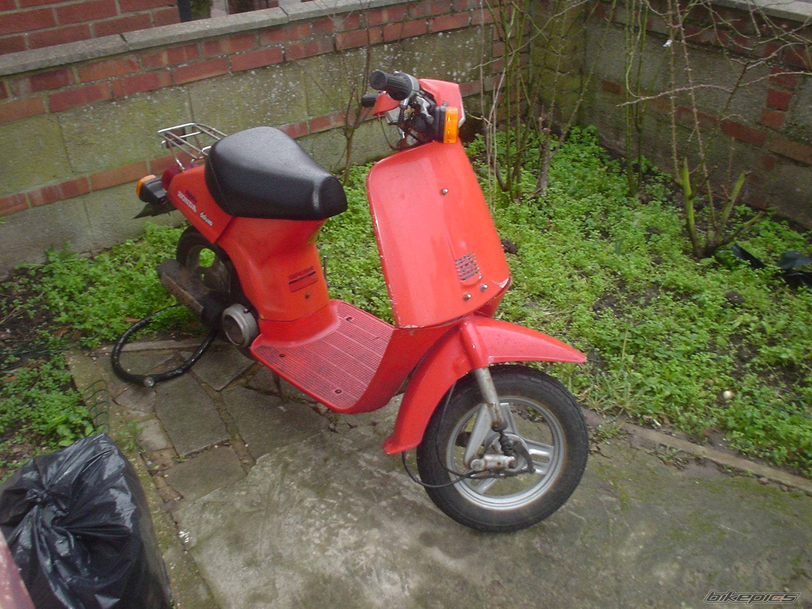 Photo 97196