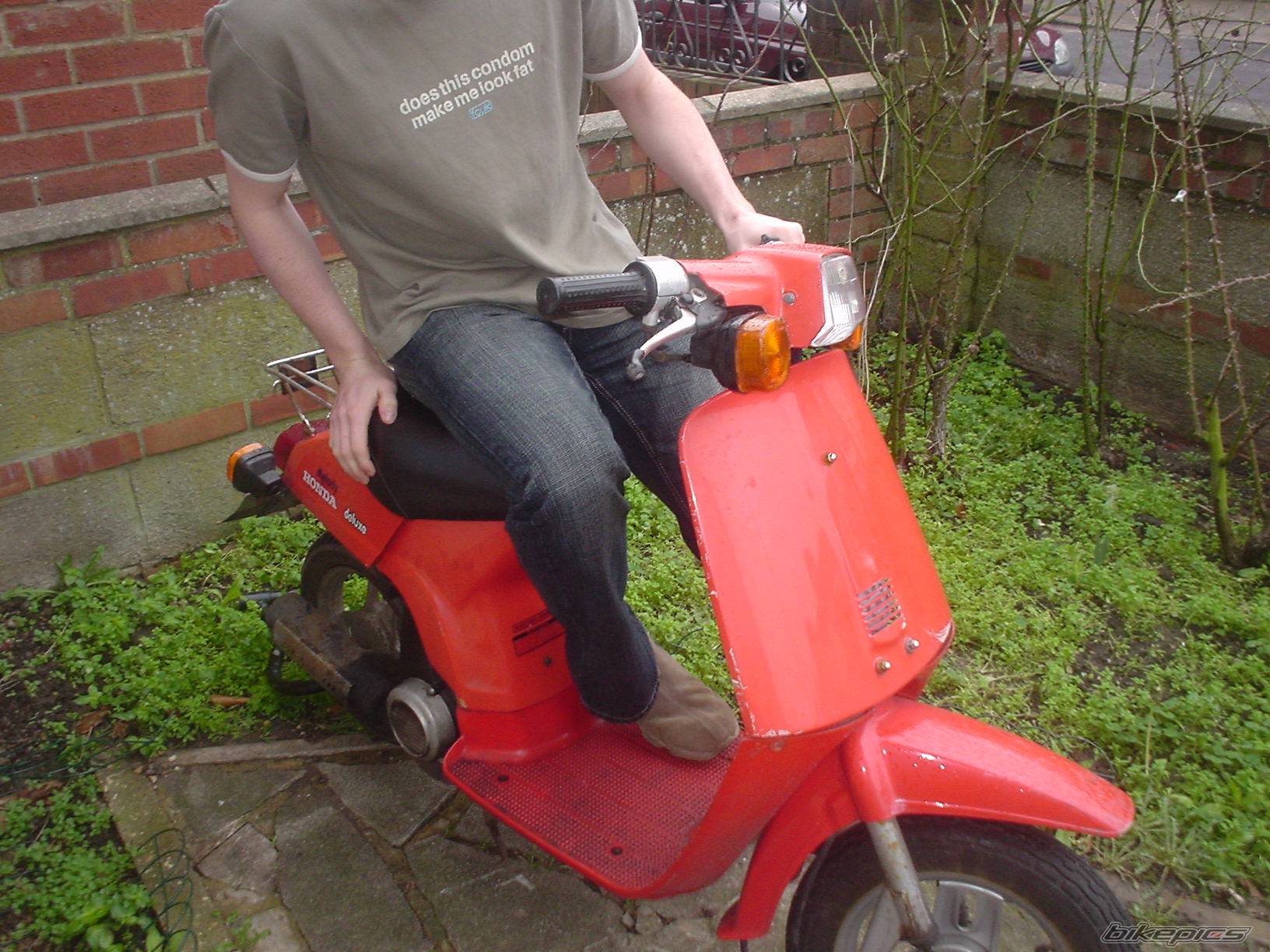 Photo 97199