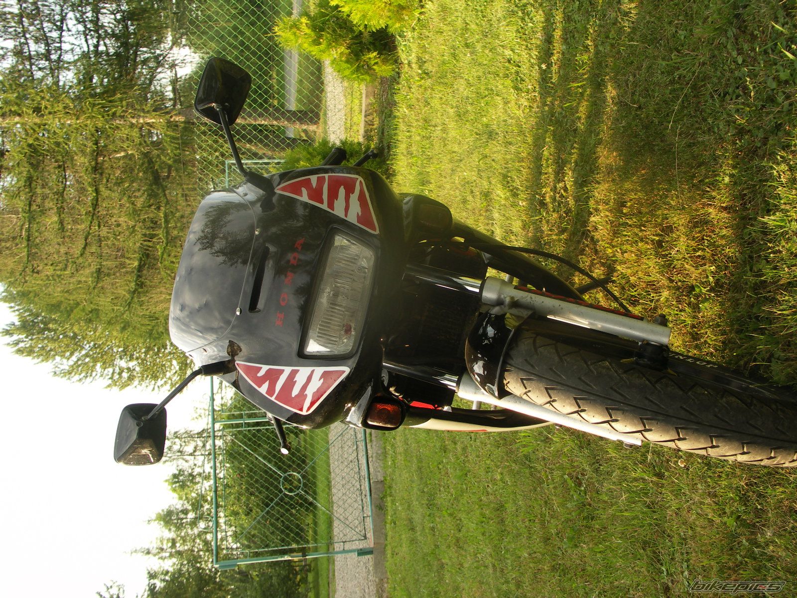 Photo 972097