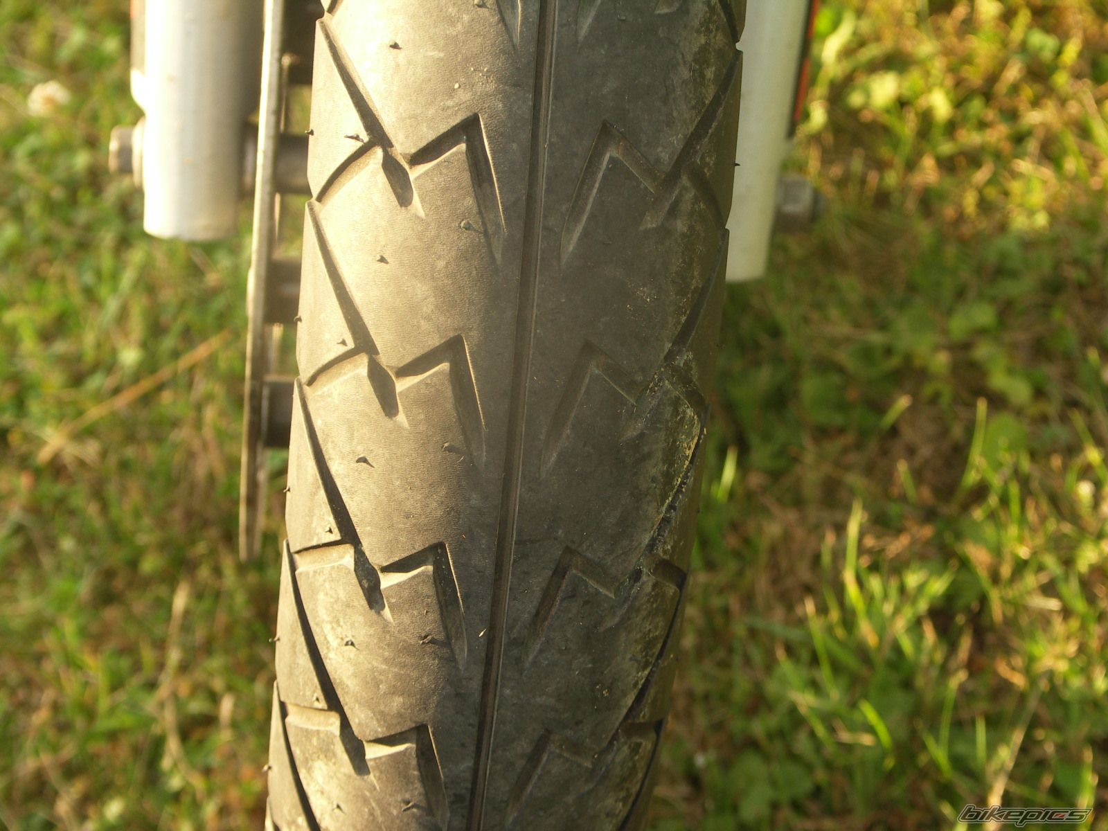 Photo 972099