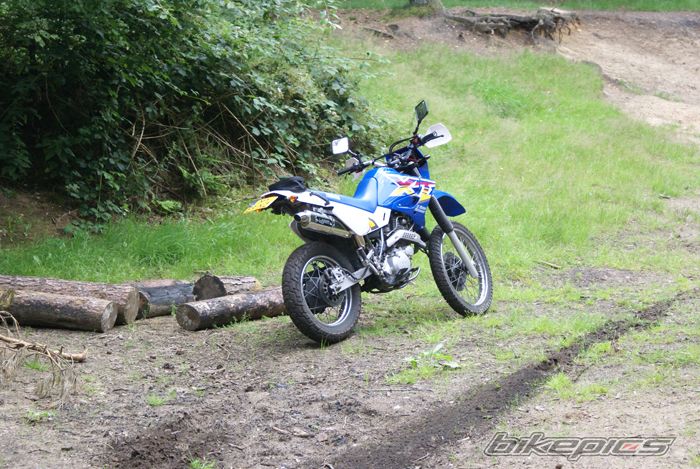 Photo 972249