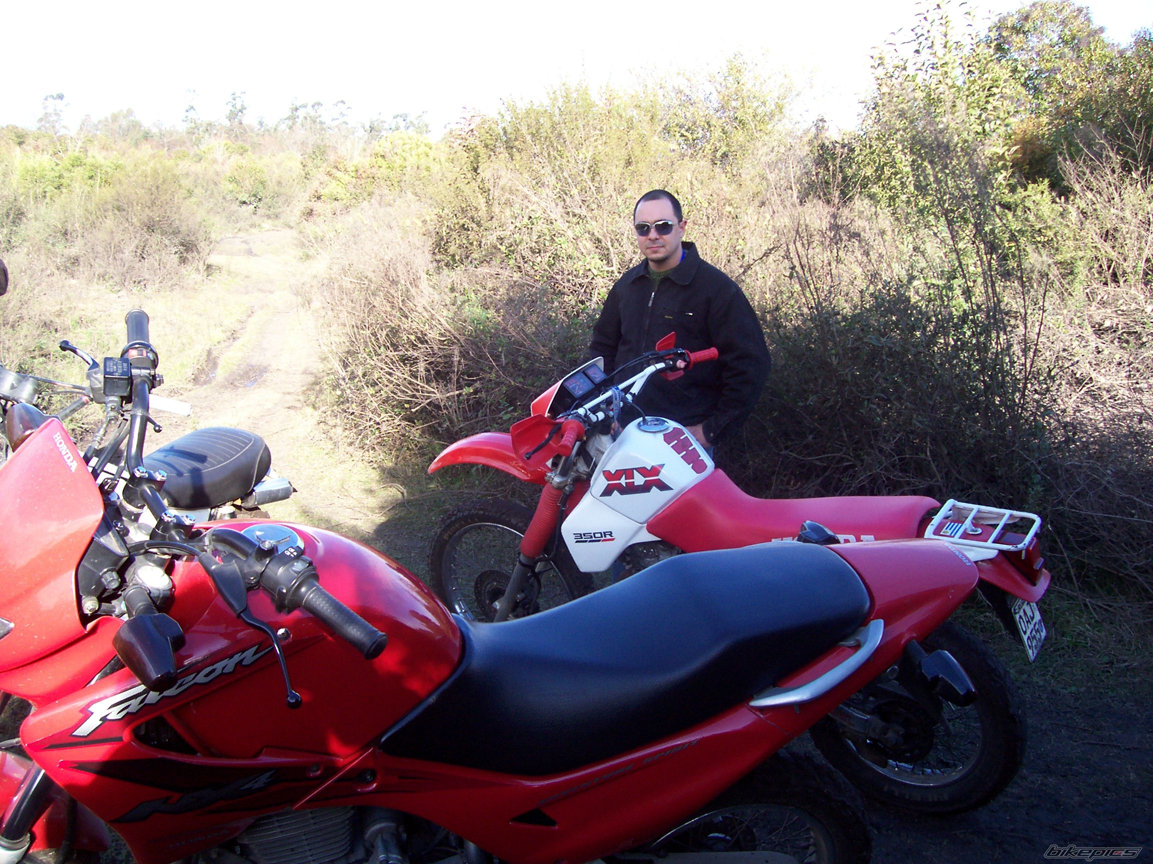 Photo 972372