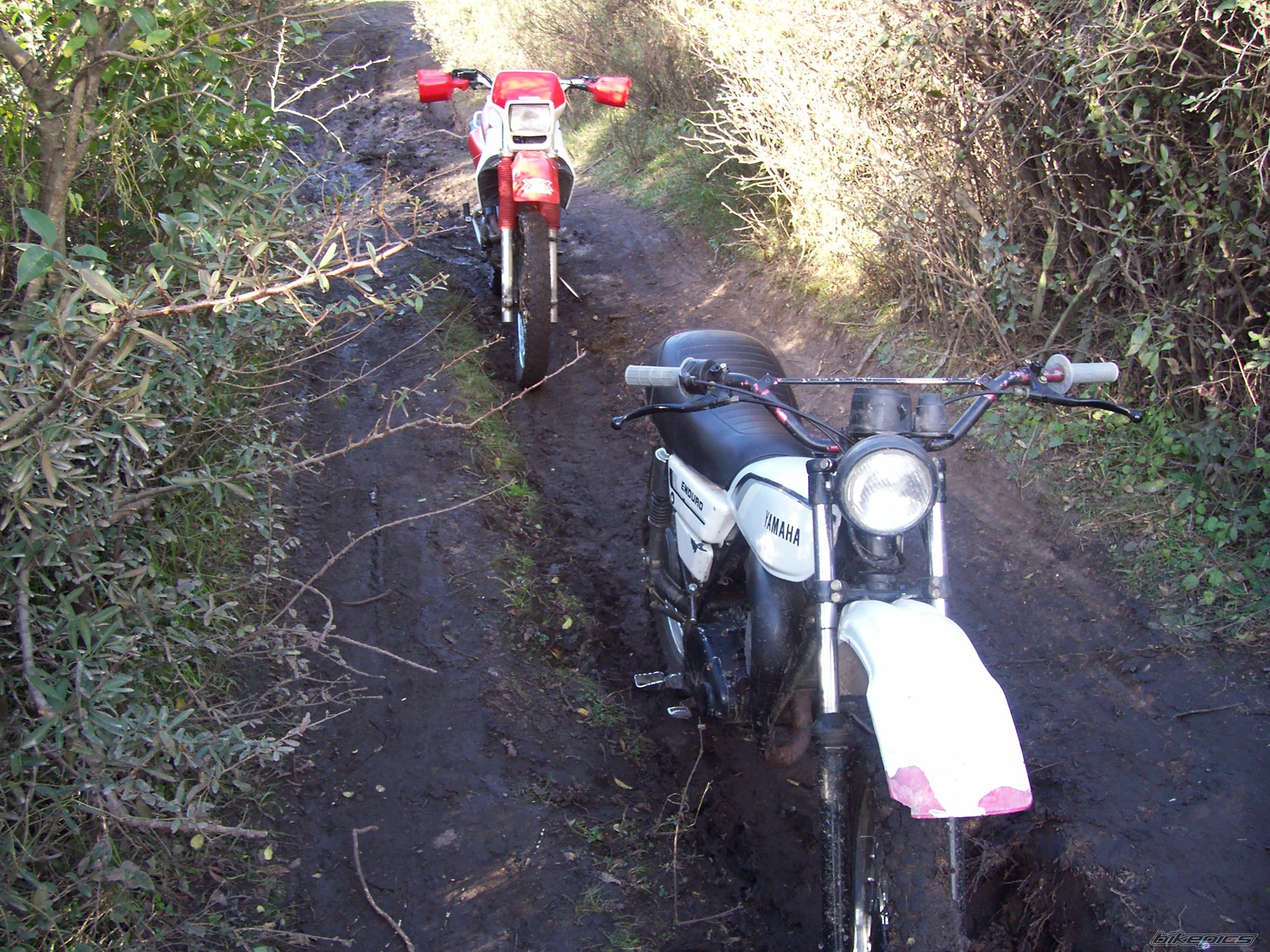 Photo 972374