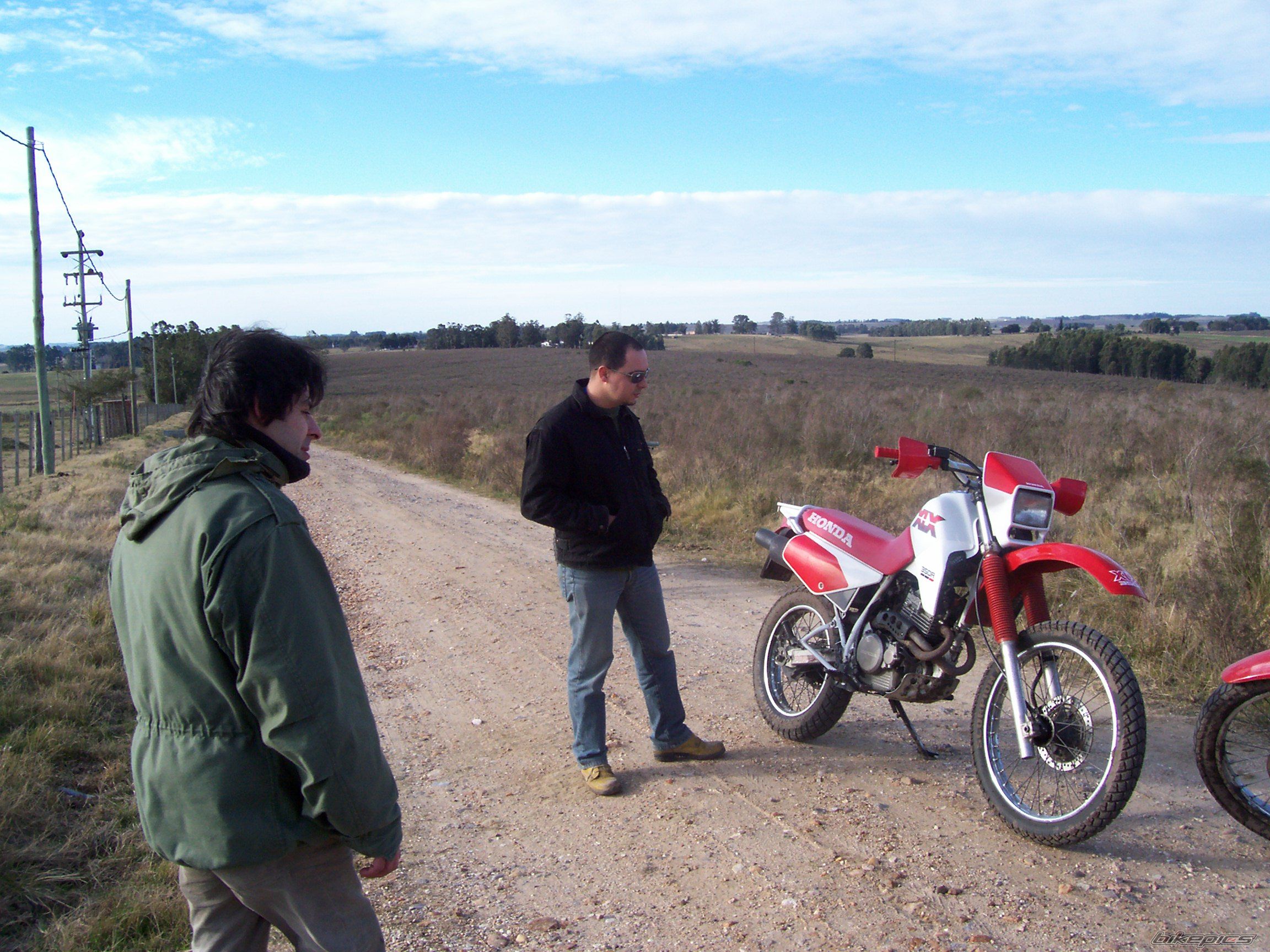 Photo 972378
