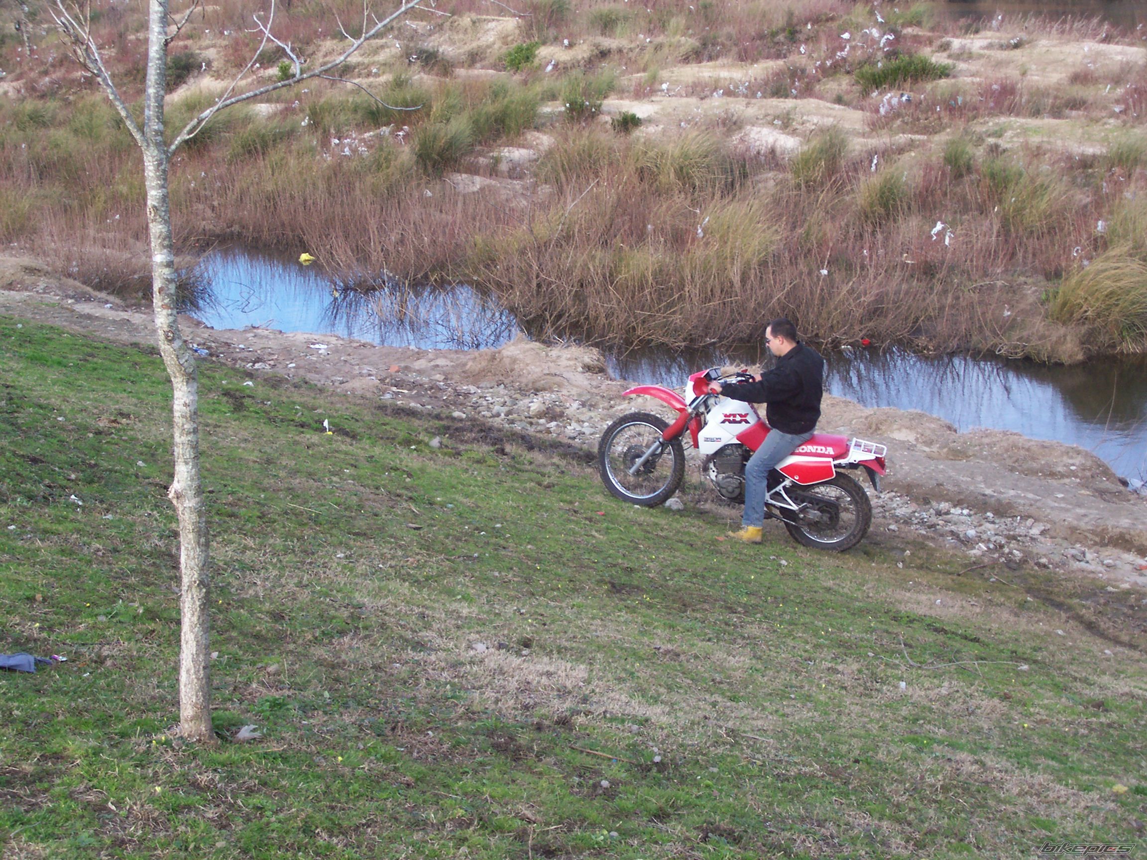 Photo 972380