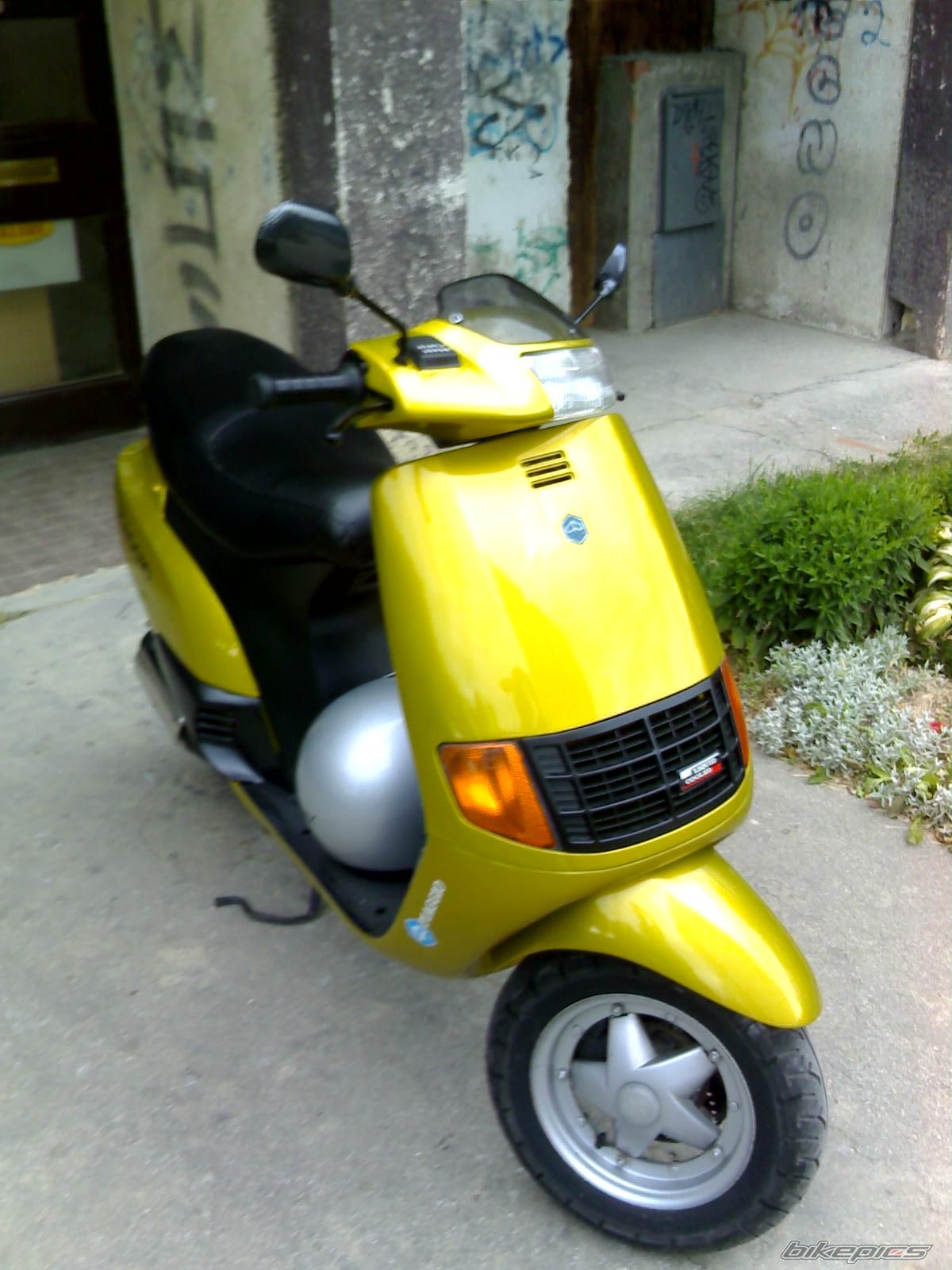 Photo 972447