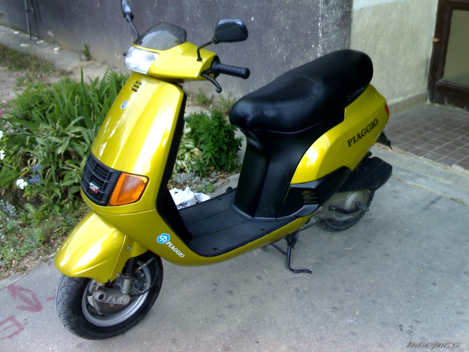 Photo 972455