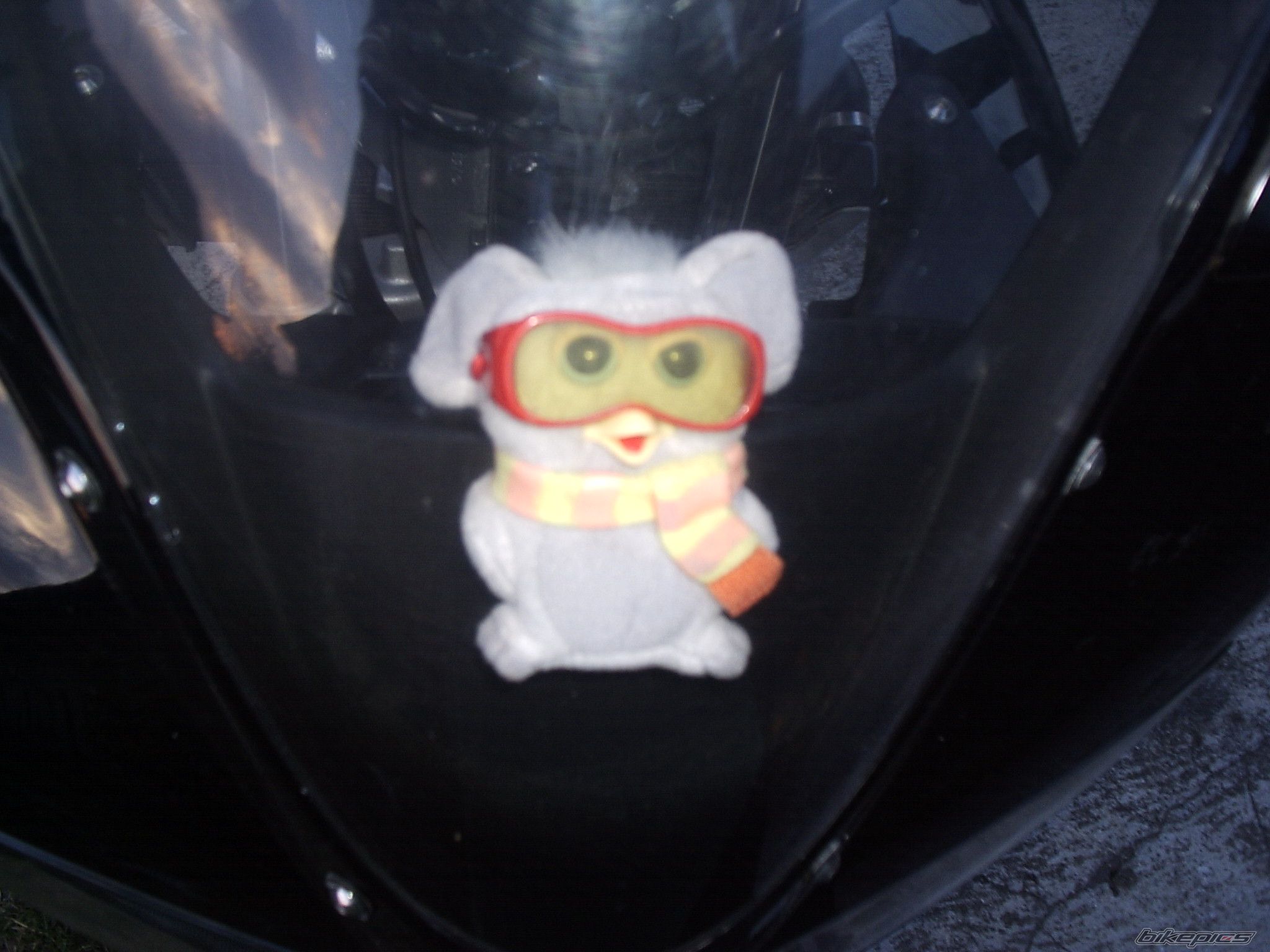Bike Photo 972550