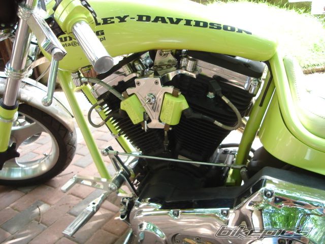 Photo 972565