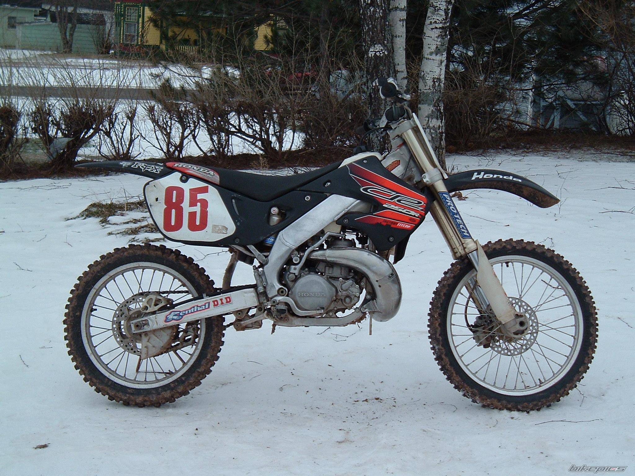 Photo 97257
