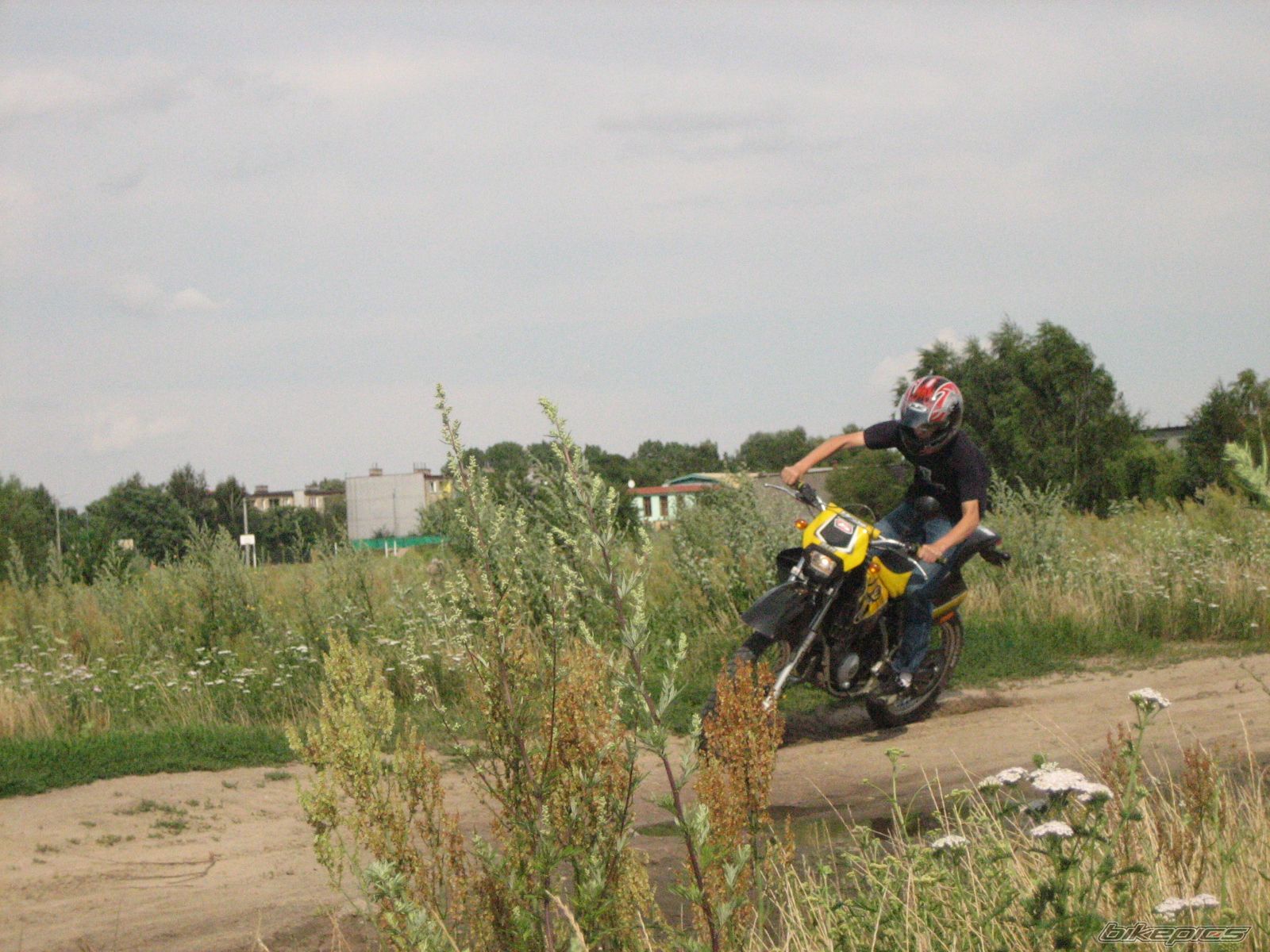 Photo 972658
