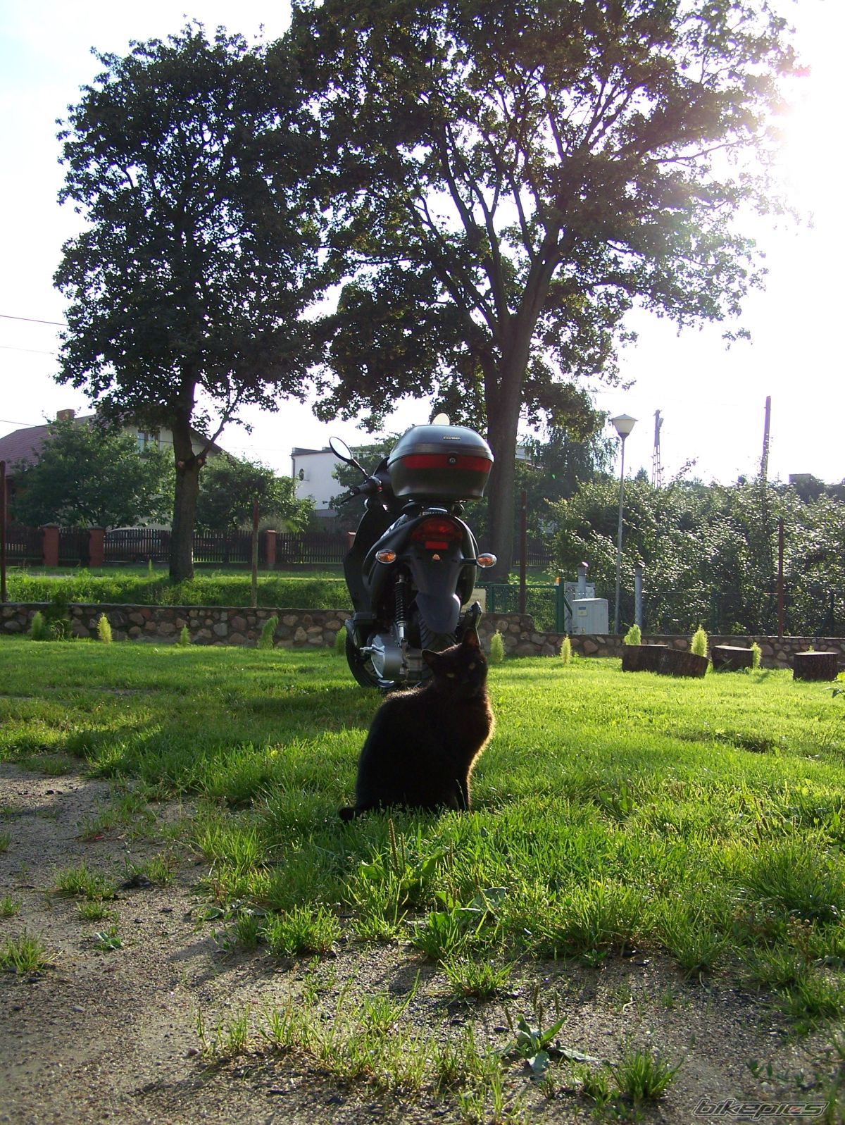 Bike Photo 972693