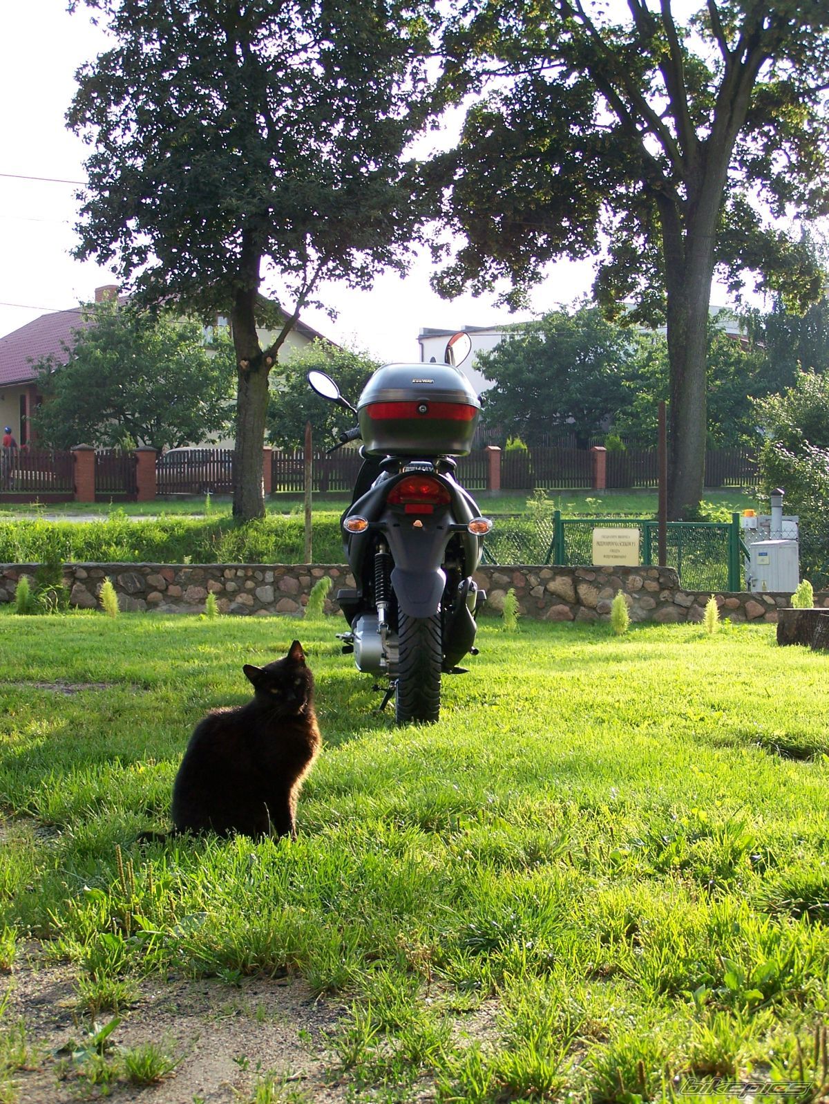 Bike Photo 972696