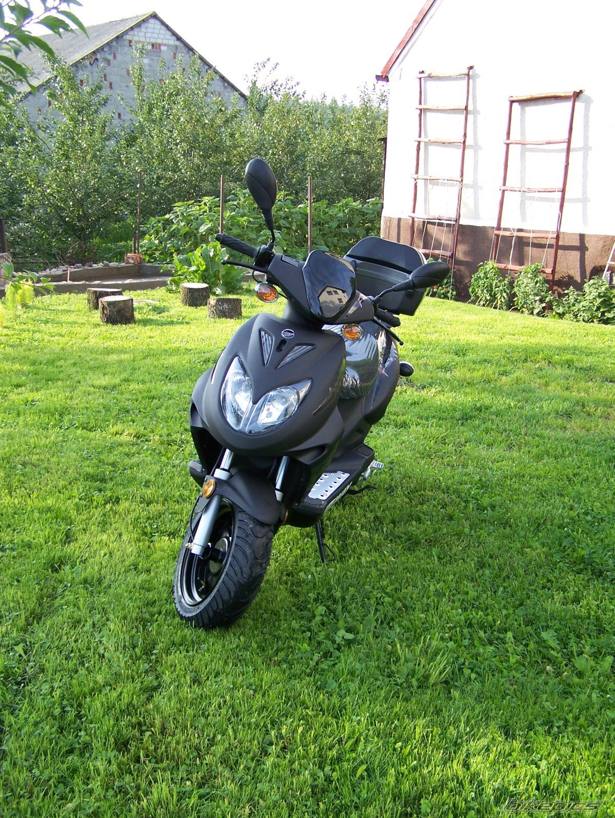 Photo 972718