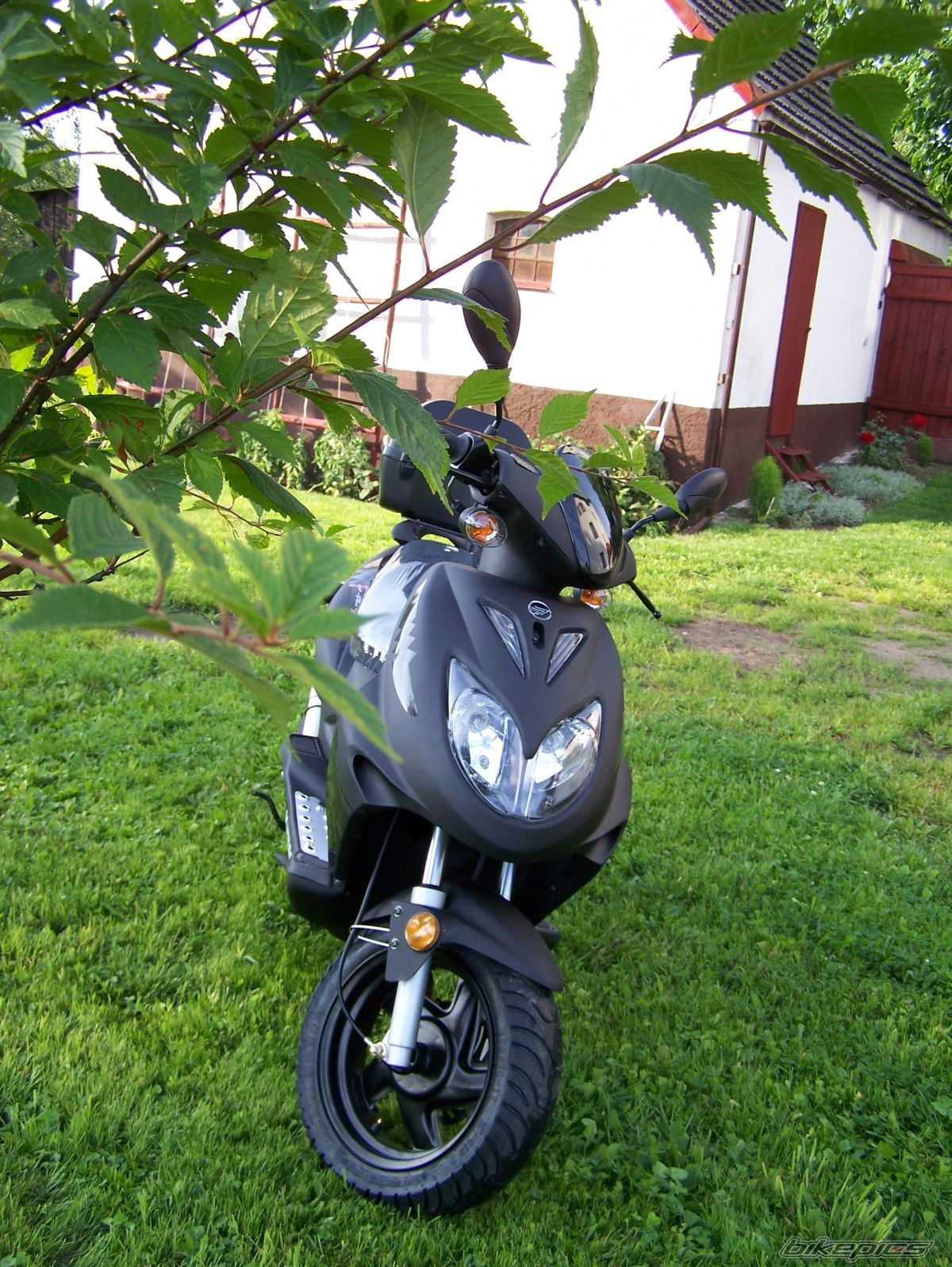 Photo 972724
