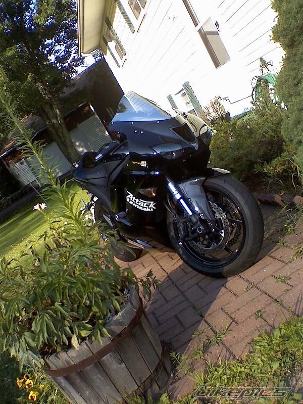Photo 972729