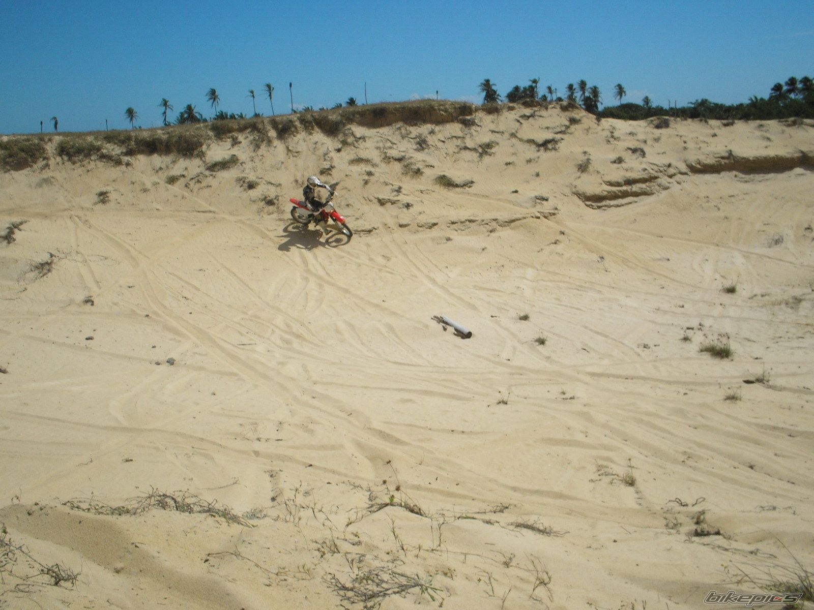 Photo 972768