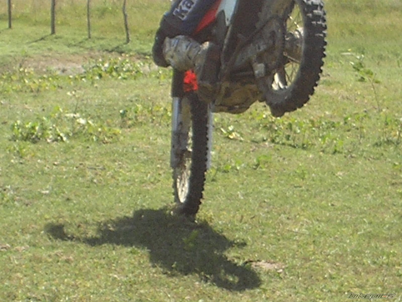 Photo 972779