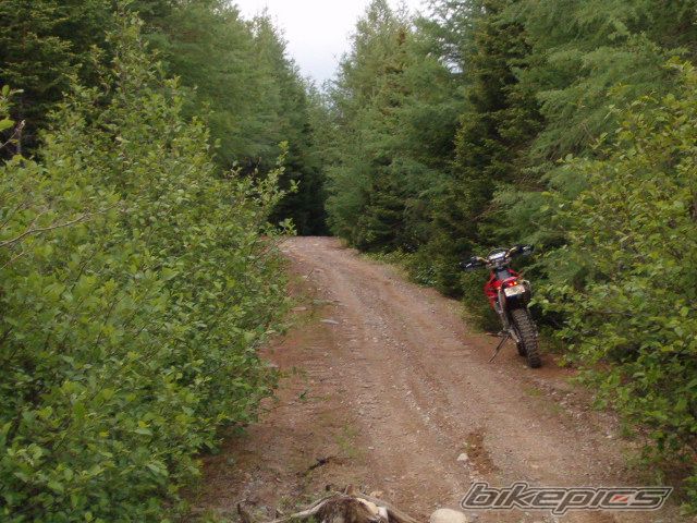 Photo 972874