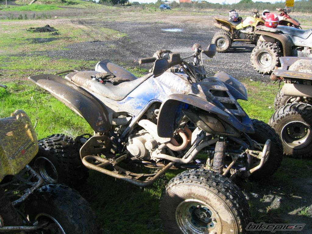 Photo 97288