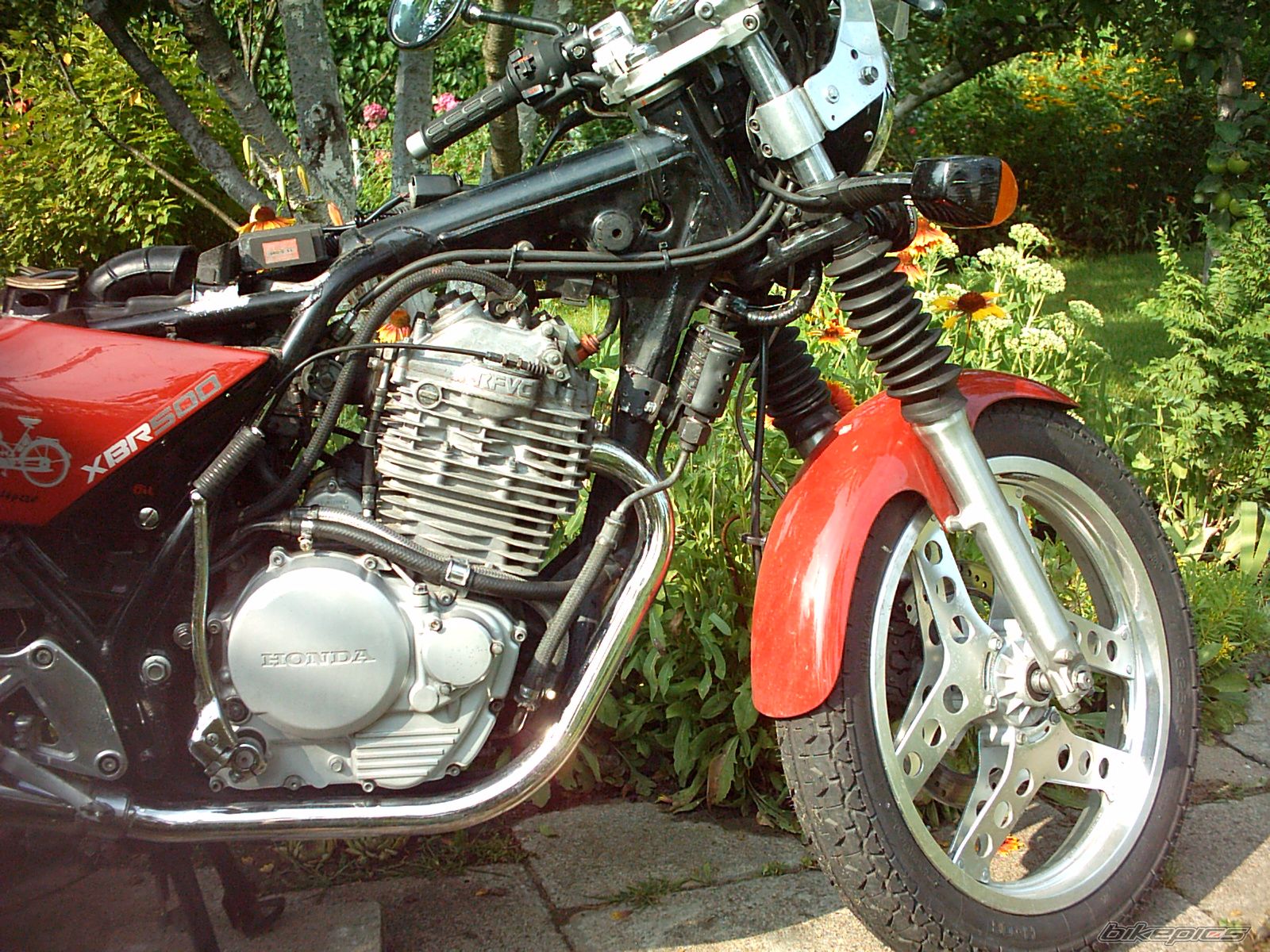 Bike Photo 972899