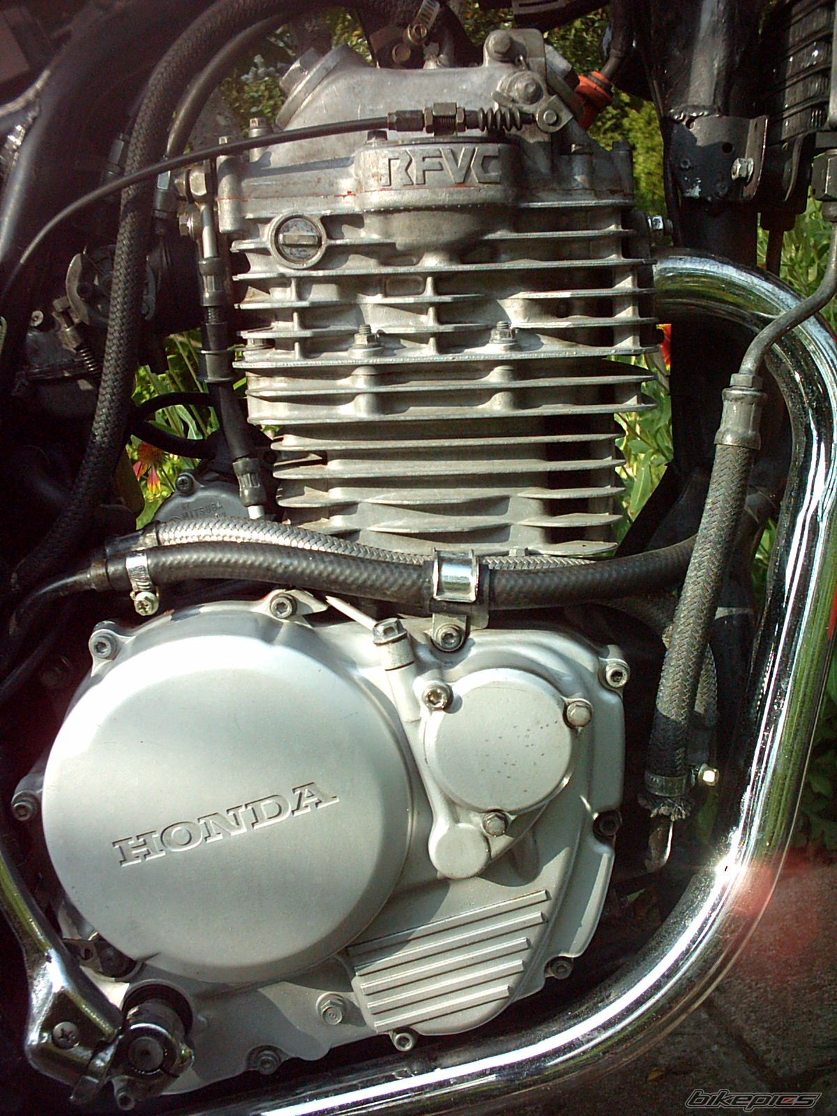 Photo 972901