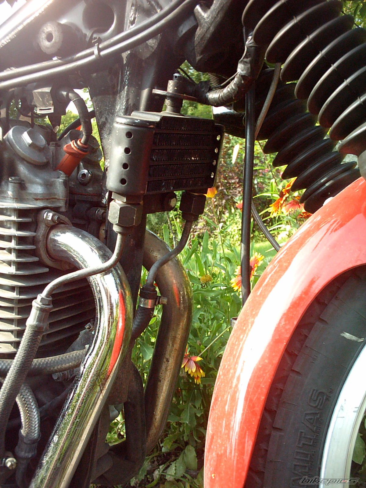 Bike Photo 972903