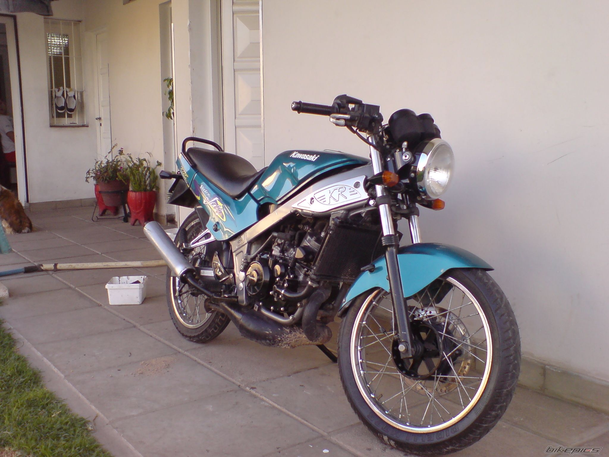 Photo 972912