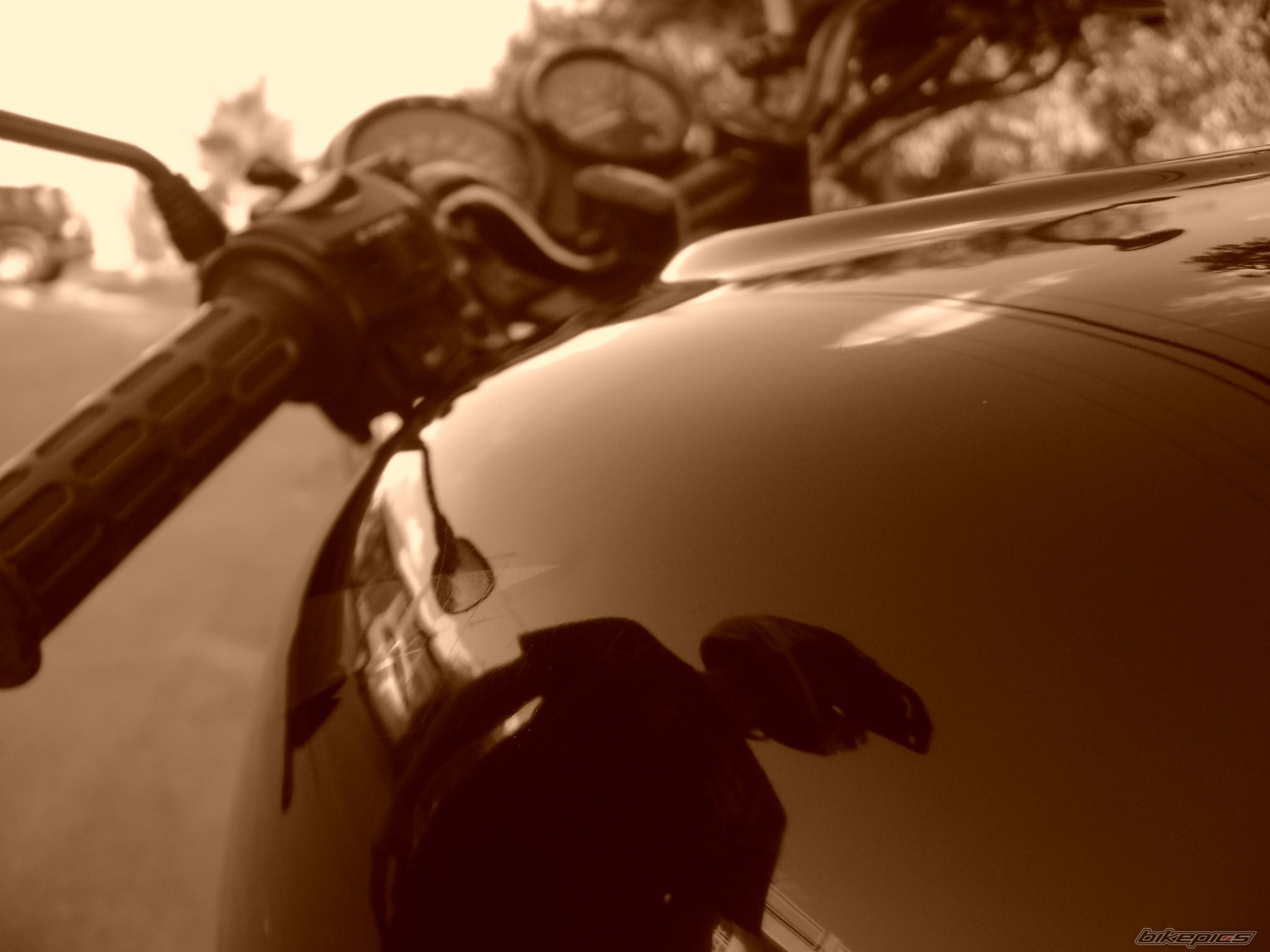 Photo 972922
