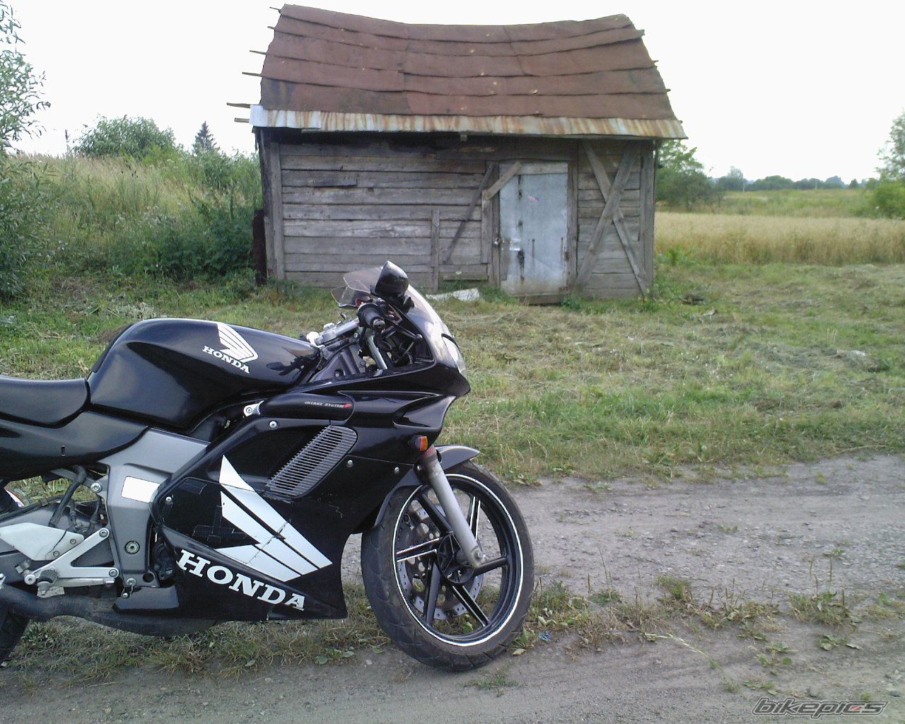 Photo 972941
