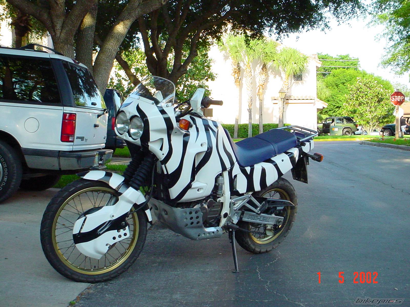 Photo 97295