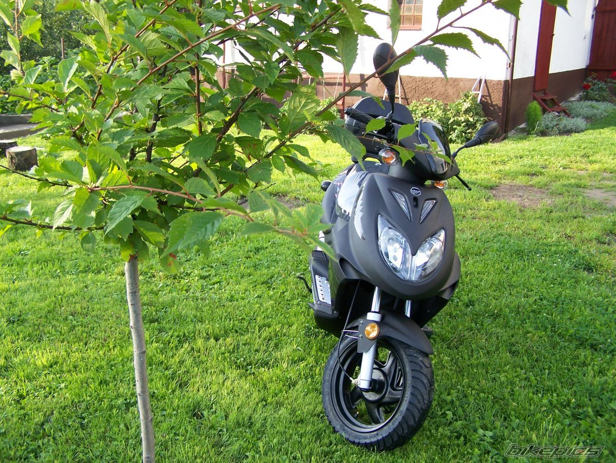 Photo 972957