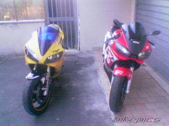 Photo 973070