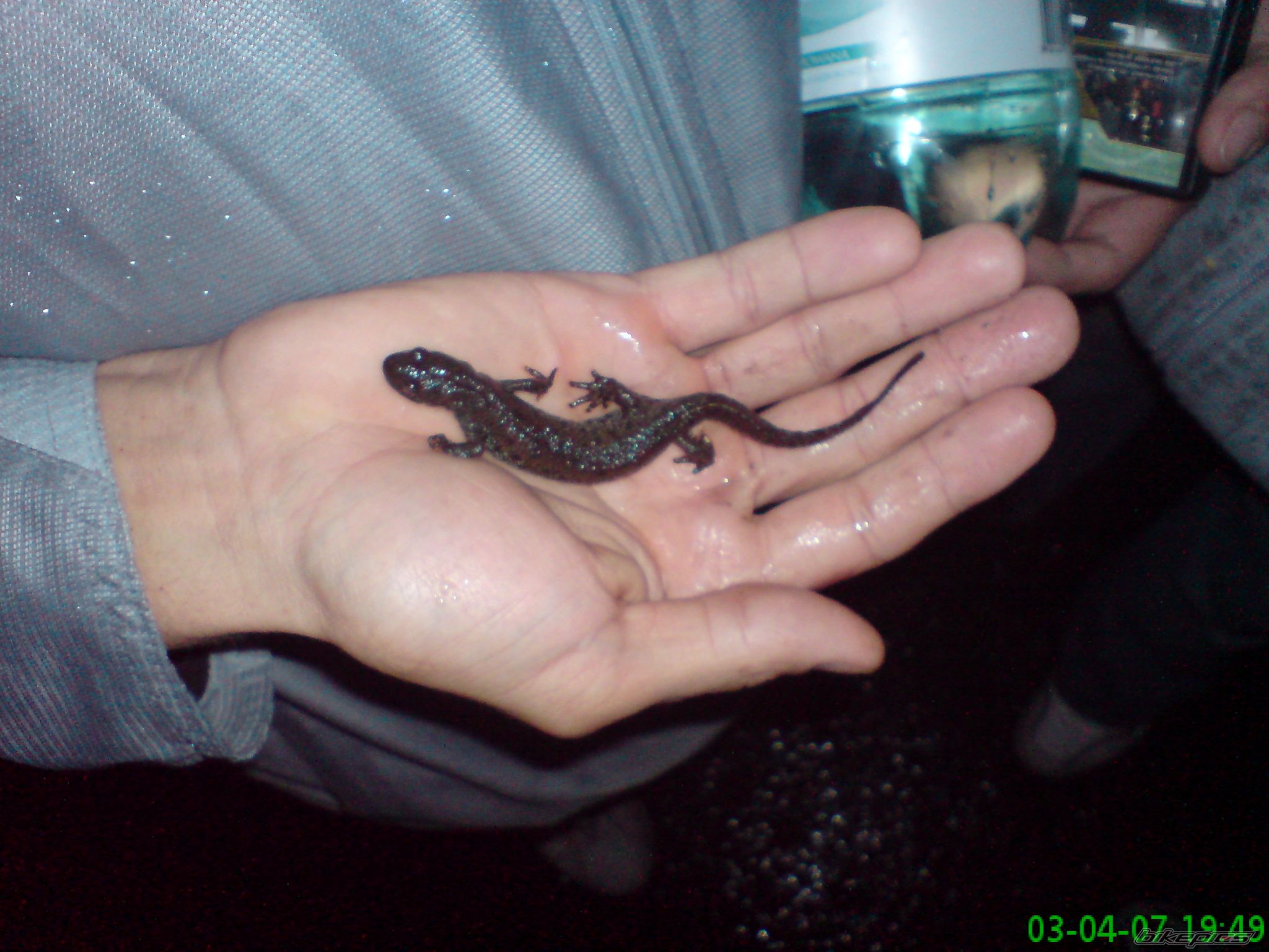 Photo 973091