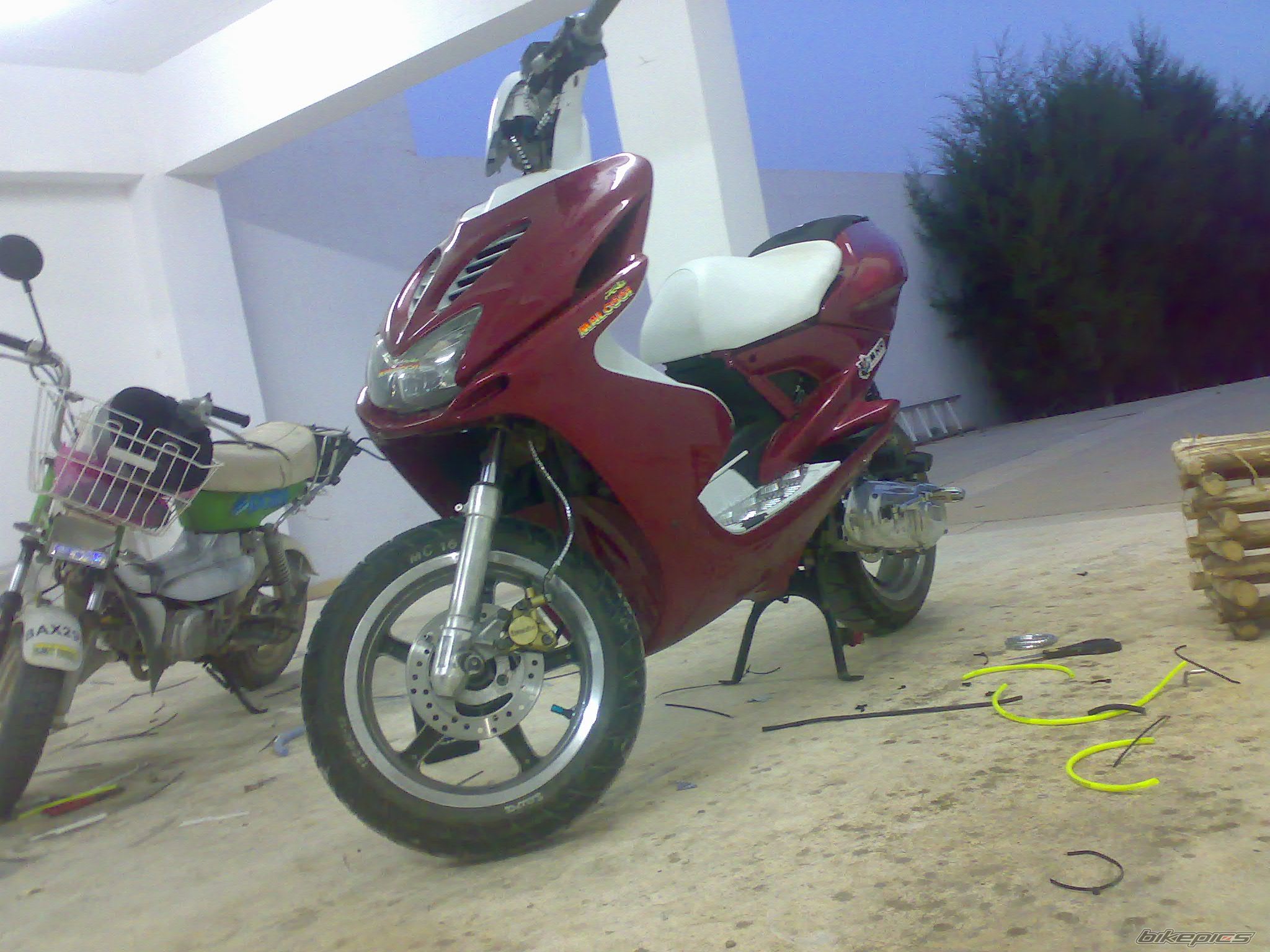 Photo 973138