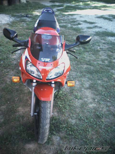 Photo 97319