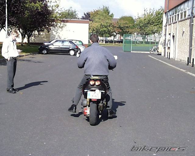 Photo 9732