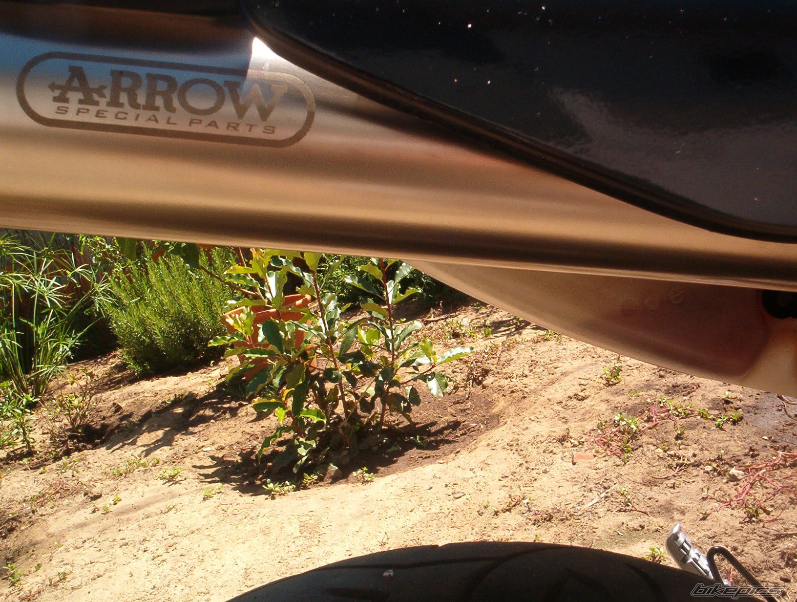 Photo 973211