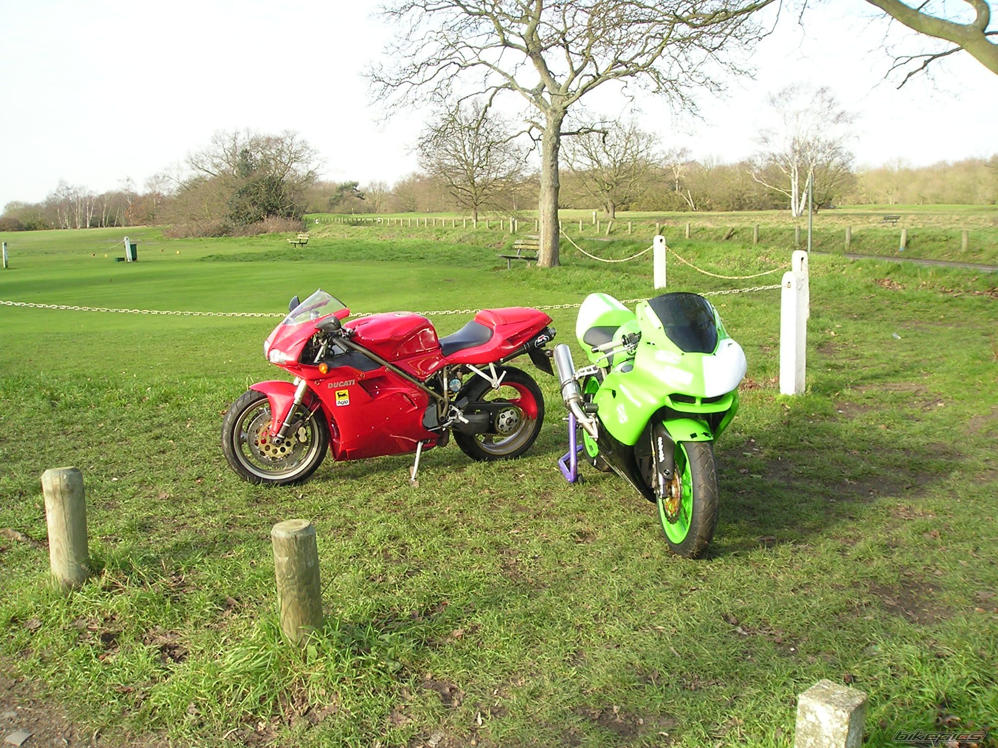 Photo 973257