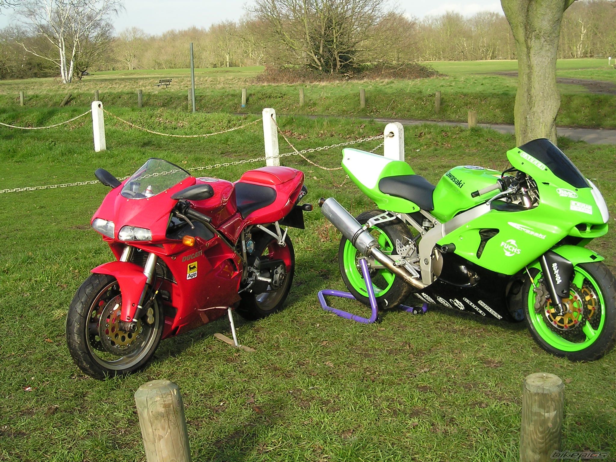 Photo 973279