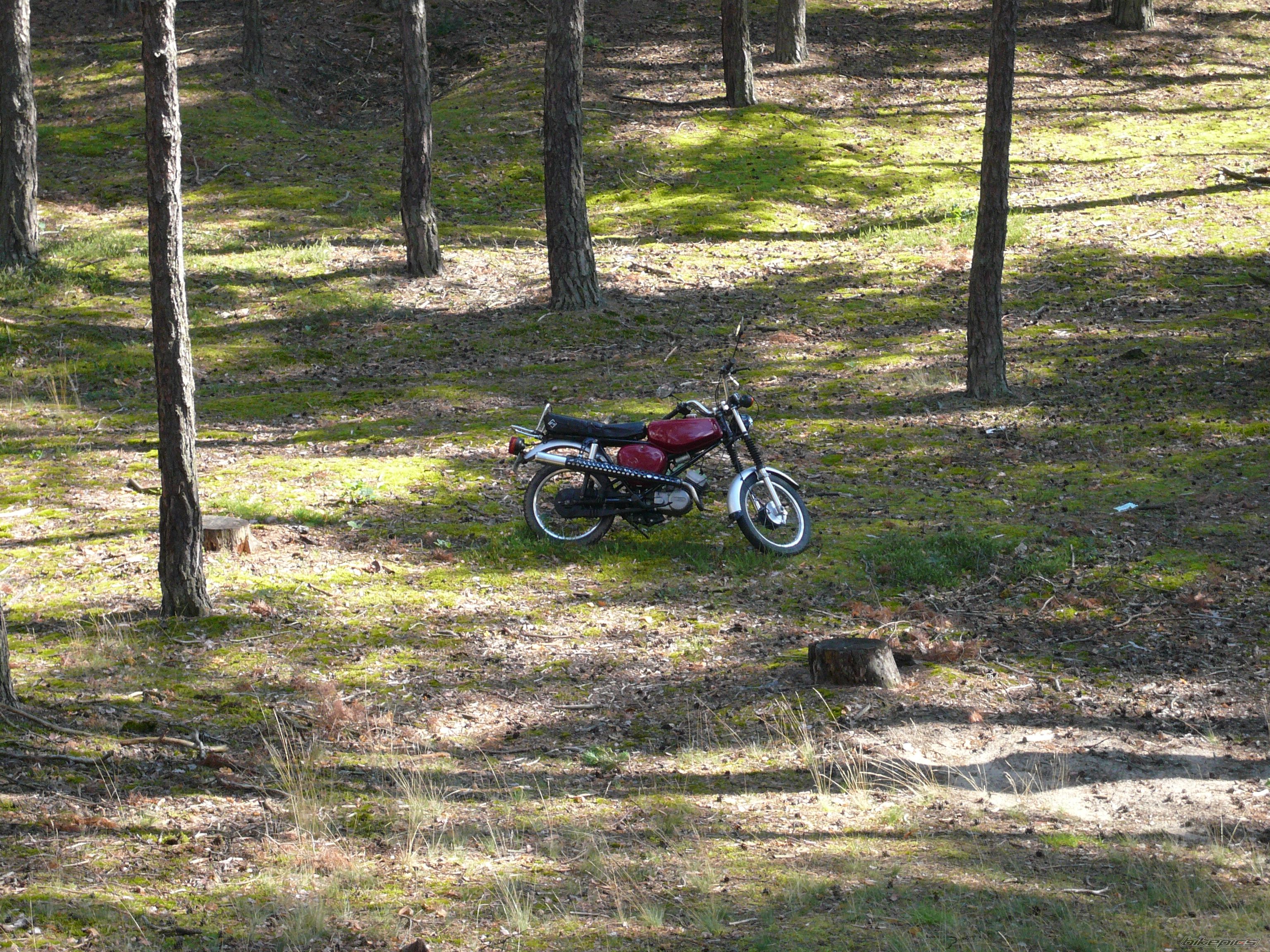 Bike Photo 973493
