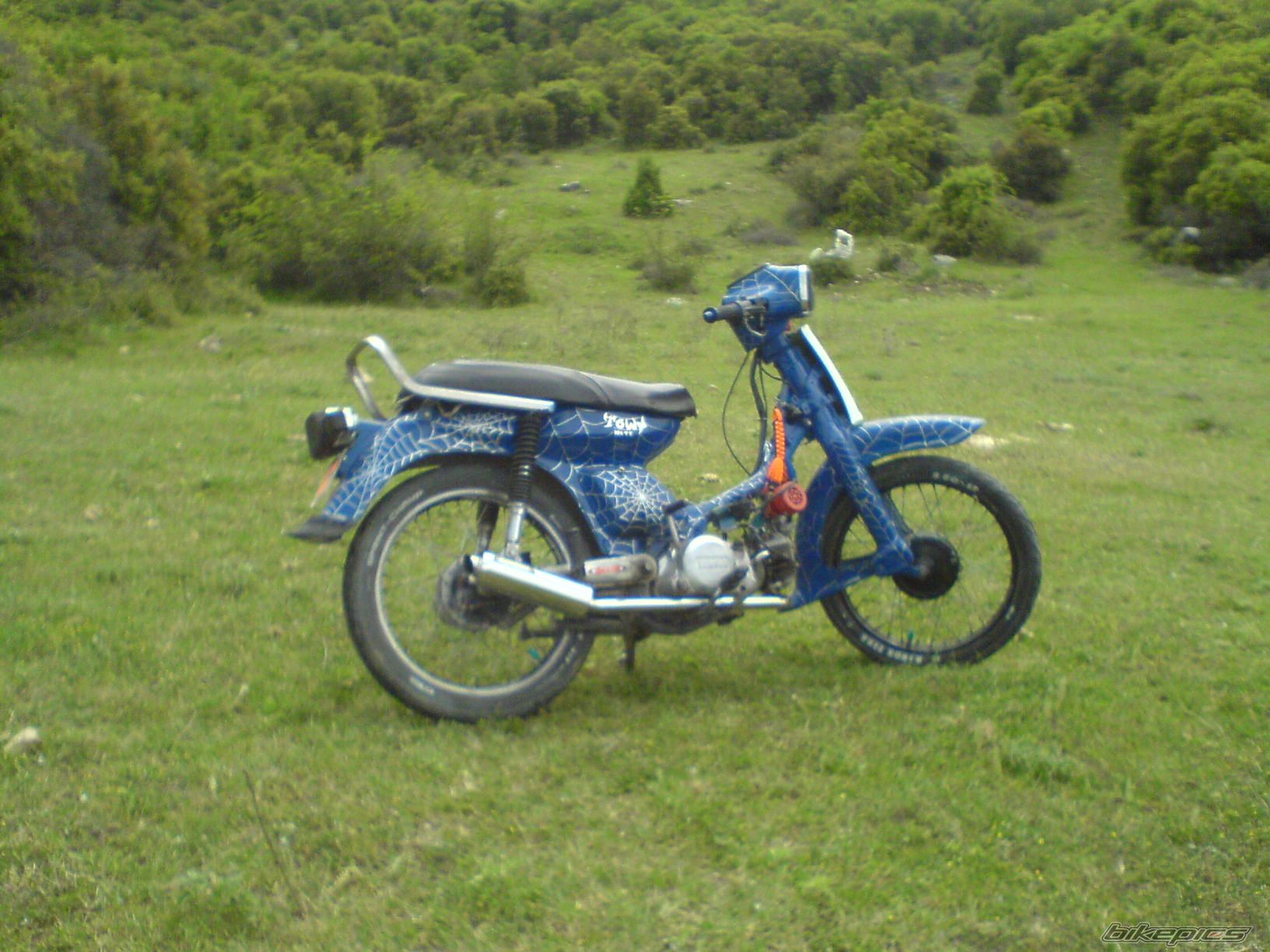 Photo 973564