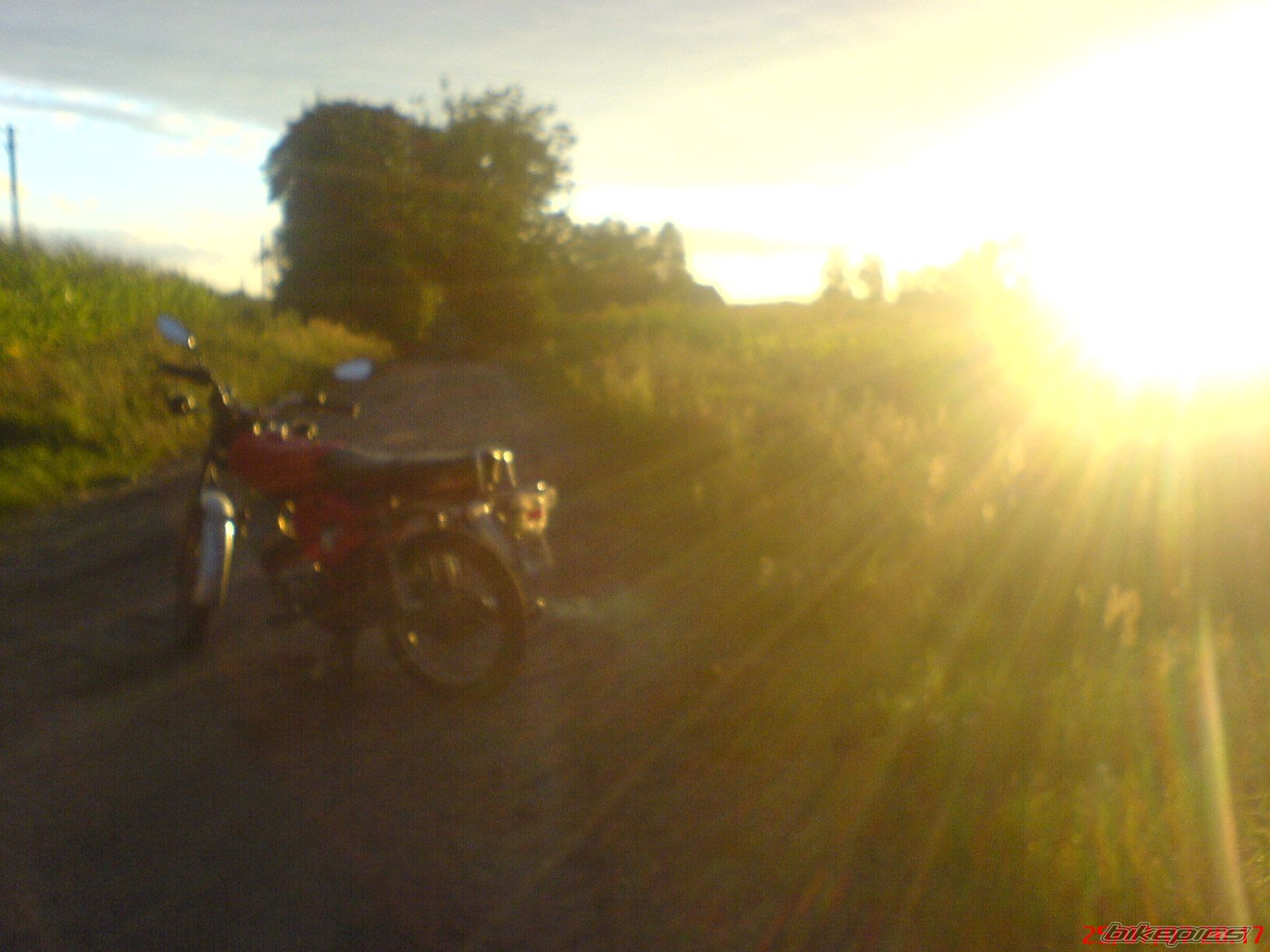 Bike Photo 973667