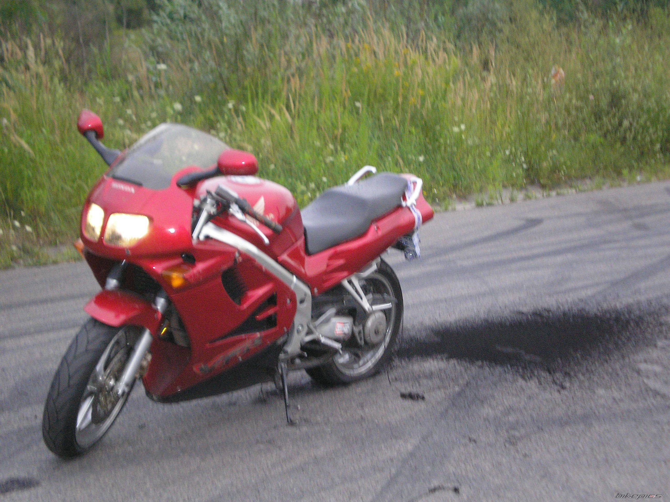 Photo 973727