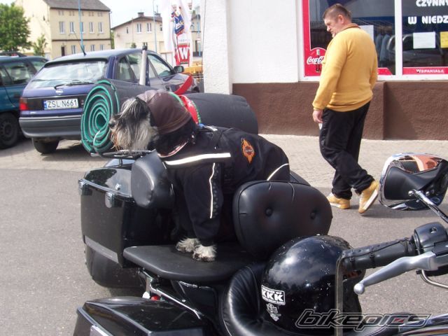Photo 973835